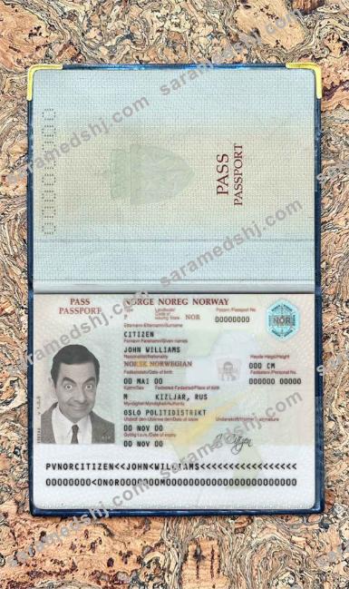 Norway passport photo look